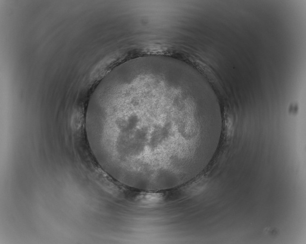 X0000113340665200909291031