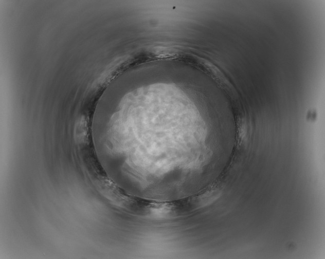 X0000113340667200909291031