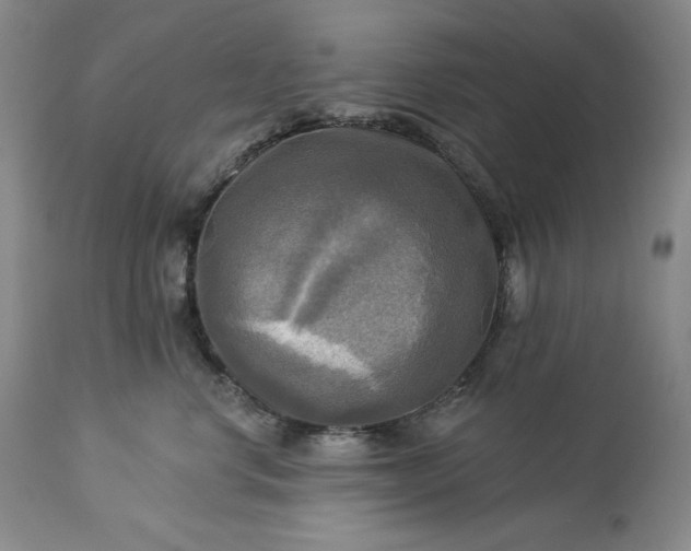 X0000113340668200909291031