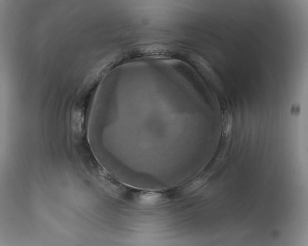 X0000113340669200909291031