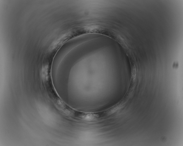 X0000113340670200909291031