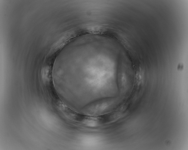 X0000113340671200909291031