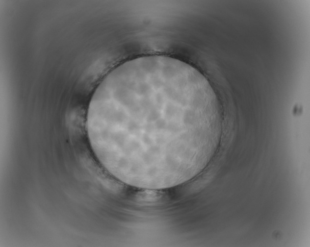 X0000113340672200909291031