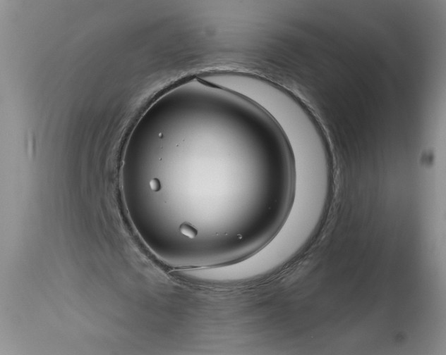 X0000113340673200909291030