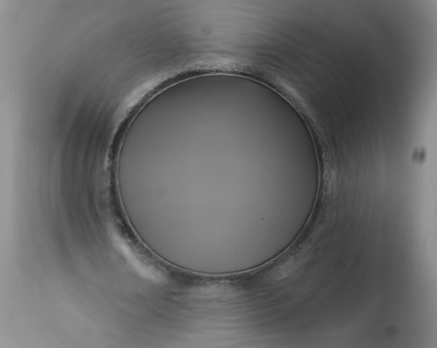 X0000113340674200909291030