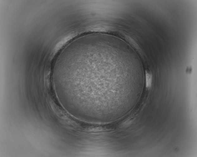 X0000113340675200909291030