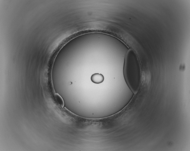 X0000113340676200909291030