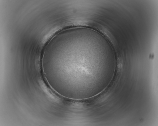 X0000113340677200909291030