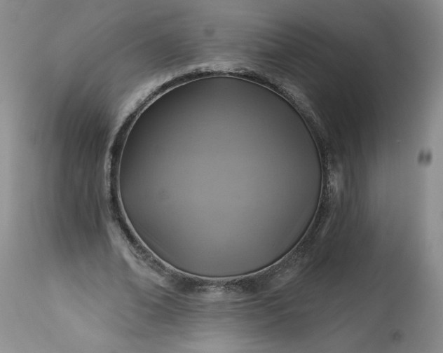 X0000113340678200909291030