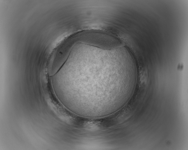 X0000113340680200909291030