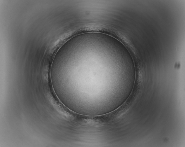 X0000113340681200909291030