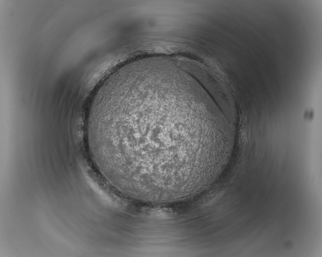 X0000113340683200909291030