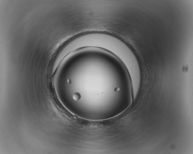 X0000113340684200909291030