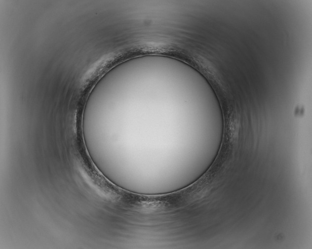 X0000113340686200909291030