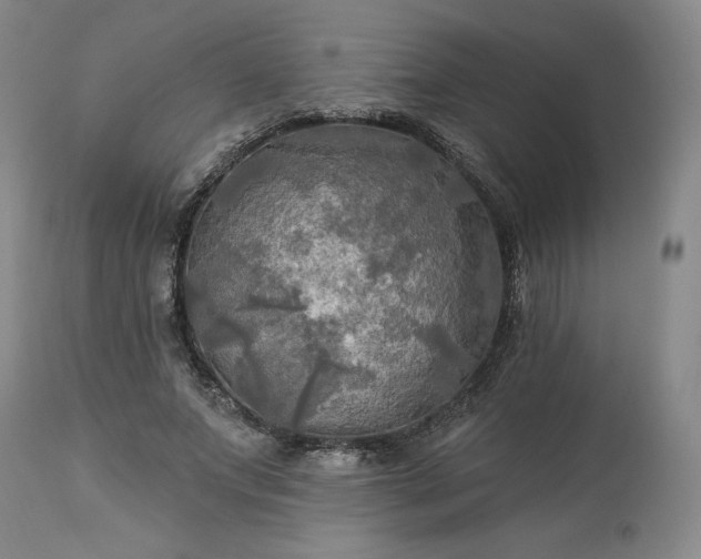 X0000113340687200909291030