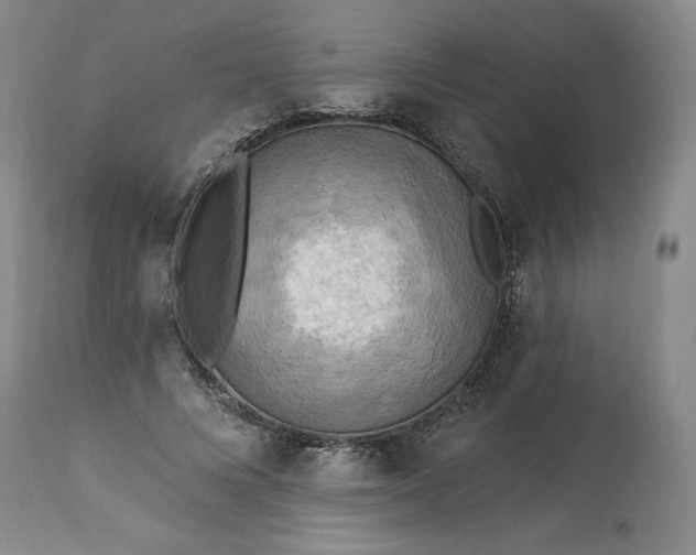 X0000113340688200909291030