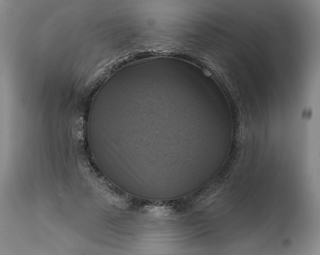 X0000113340689200909291030