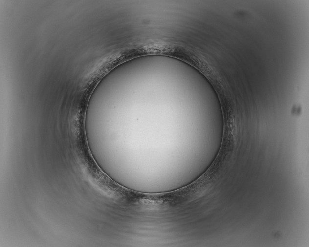 X0000113340690200909291030