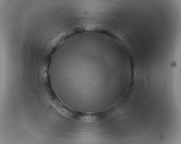 X0000113340691200909291030