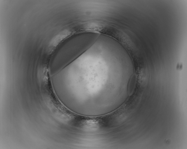 X0000113340692200909291030