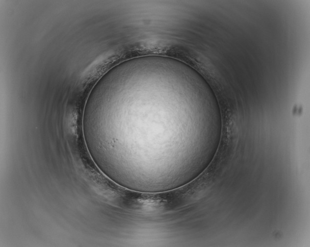 X0000113340693200909291030