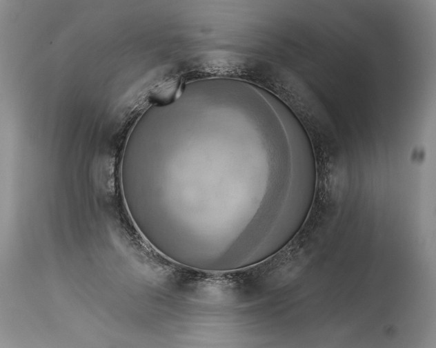 X0000113340696200909291030