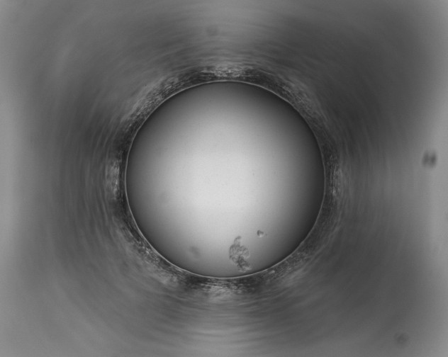 X0000113340697200909291030