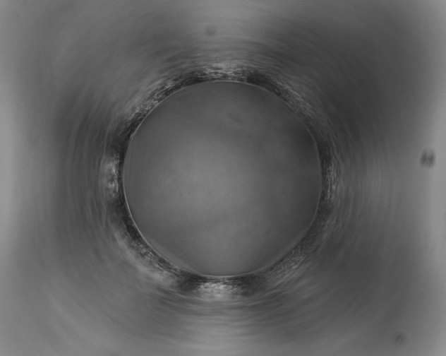 X0000113340699200909291030