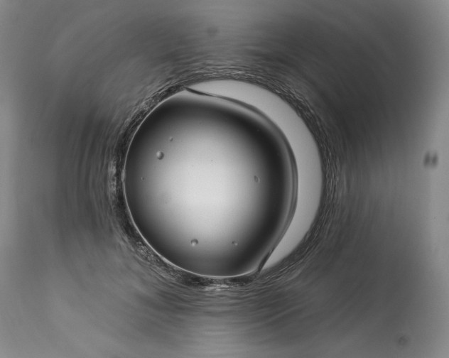 X0000113340700200909291030