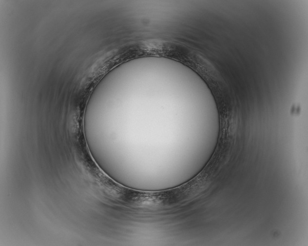 X0000113340702200909291030