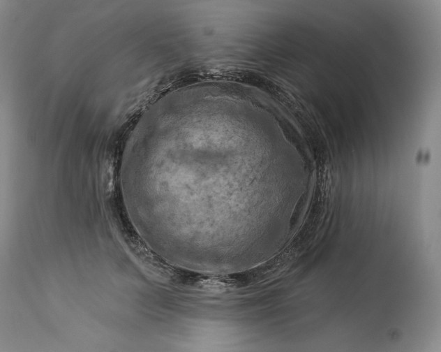 X0000113340703200909291030