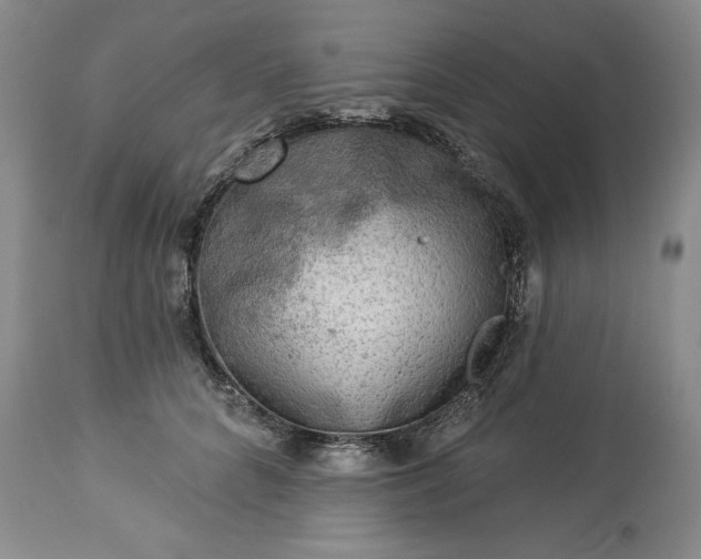 X0000113340704200909291030