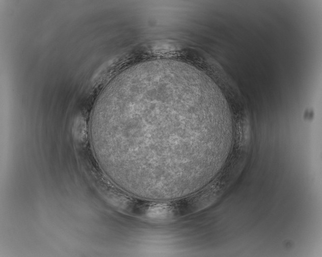 X0000113340705200909291030