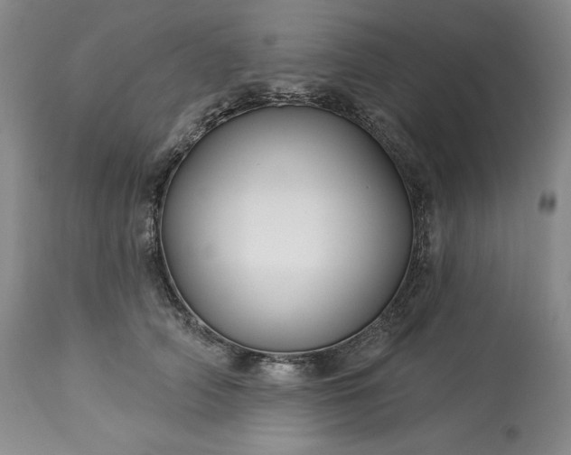 X0000113340706200909291030