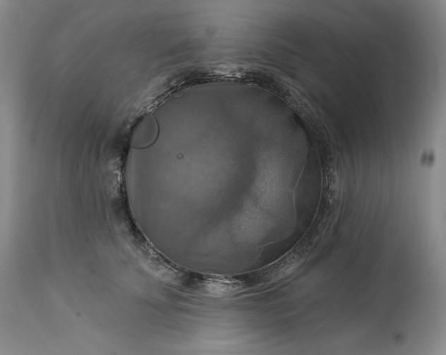 X0000113340707200909291030