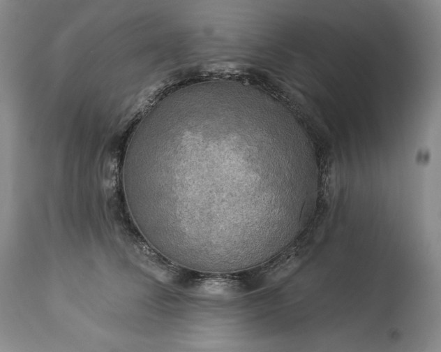 X0000113340708200909291030