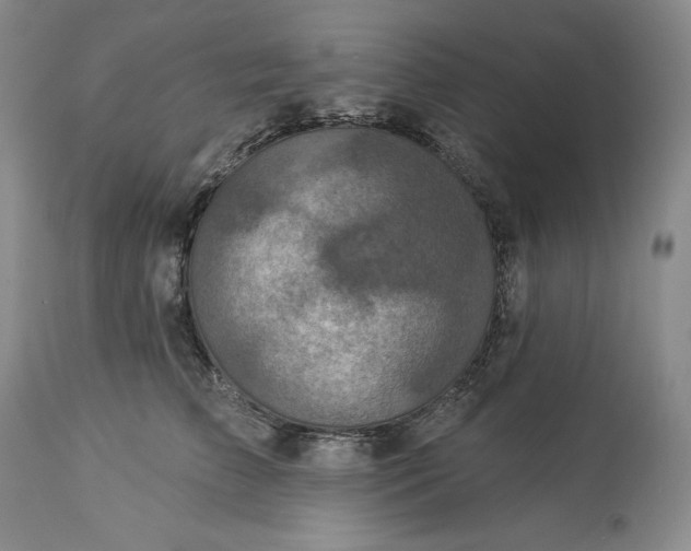 X0000113340709200909291030