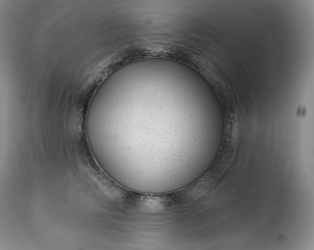 X0000113340710200909291030