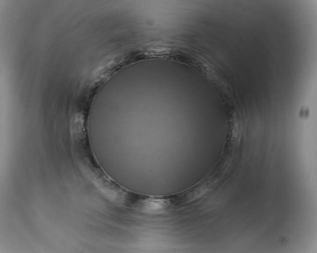 X0000113340711200909291030