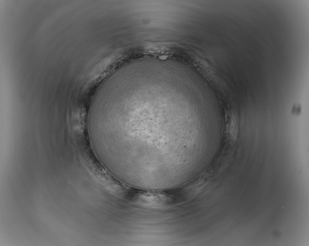 X0000113340712200909291030