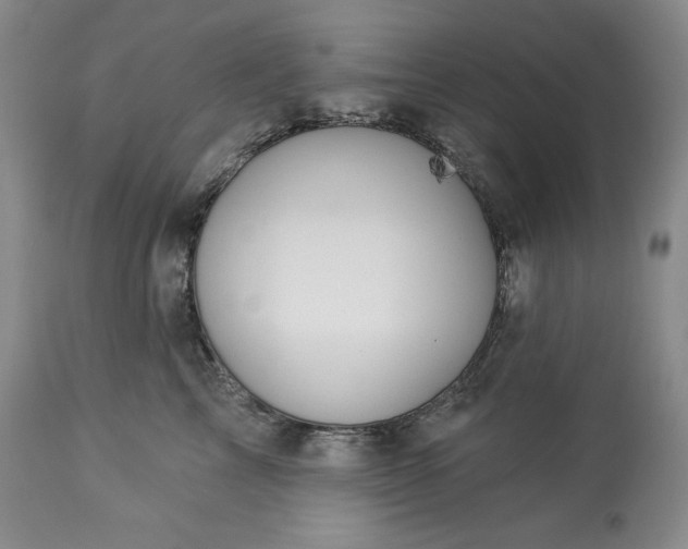 X0000113340713200909291030