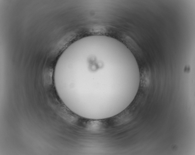 X0000113340717200909291030