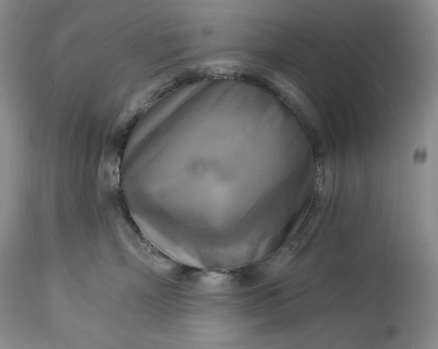 X0000113340718200909291030