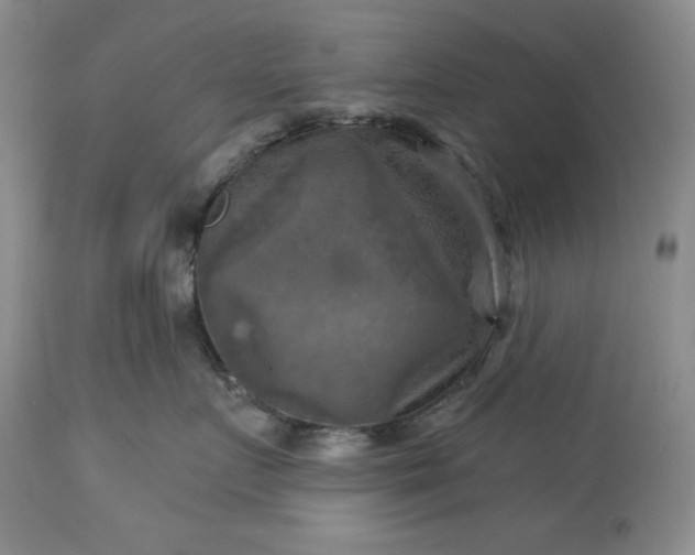 X0000113340719200909291030