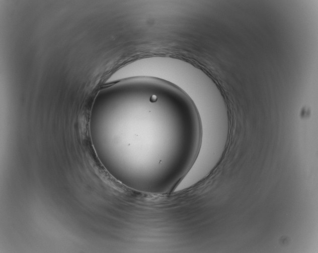 X0000113340720200909291030