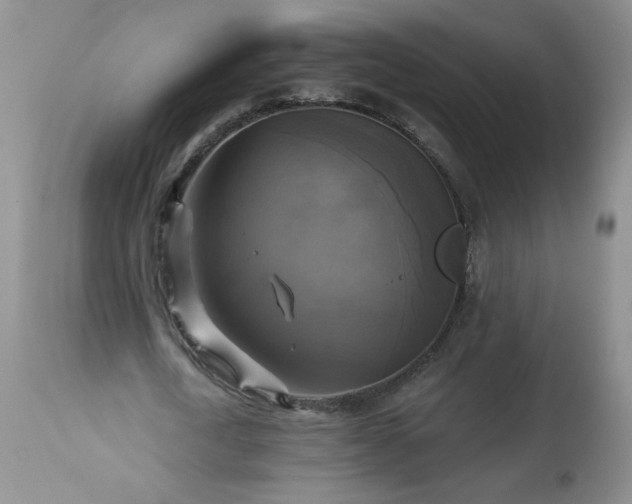 X0000113340722200909291029