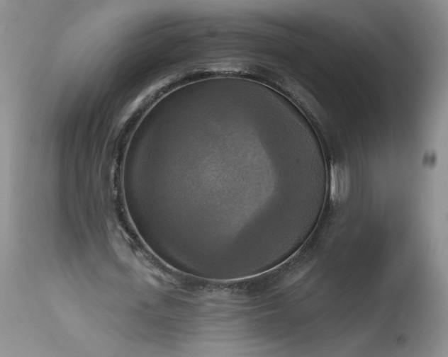 X0000113340723200909291029