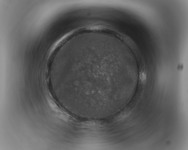 X0000113340724200909291029