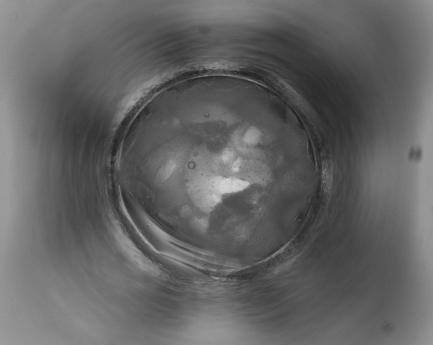 X0000113340725200909291029