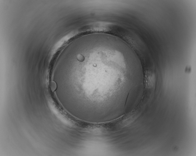 X0000113340726200909291029